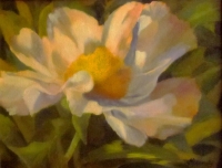 F.simple-peony-oil-16-x-12-private-collection_brt